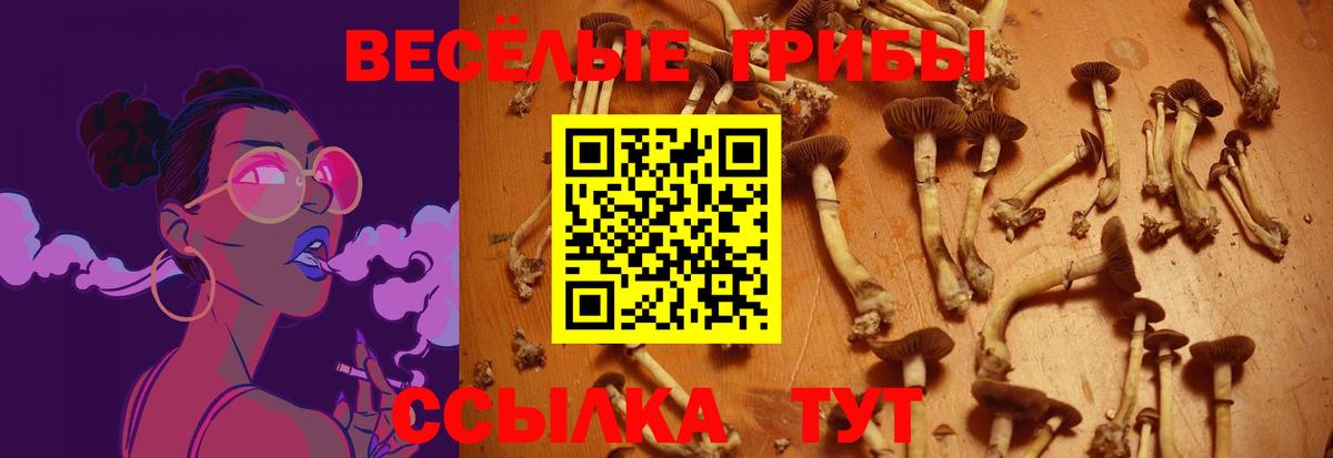 Галлюциногенные грибы Magic Shrooms Городец